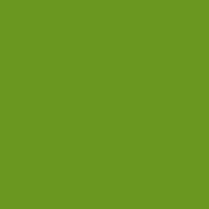 MTN Colors HC-RV-6018 VALLEY GREEN