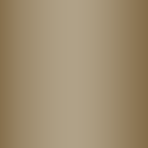 MTN Colors WB 400 FRAME GOLD