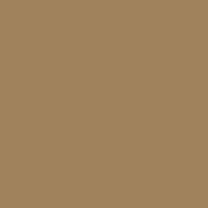MTN Colors WB 400 RV-137 RAW UMBER