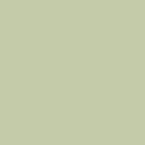 MTN Colors WB 400 RV-345 GREY GREEN LIGHT