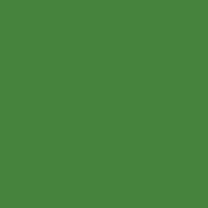 MTN Colors WB 400 RV-6018 BRILLIANT GREEN