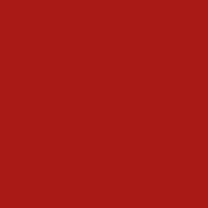 Double A Supreme Latex Paint 0.8 kg - 14 Farben - Underground Red