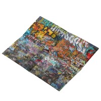 Double H - EINE STADT WIRD BUNT FLASHBACK - Die Chronik 2016-2026 Buch