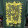 20 JAHRE BACKYARD STORE T-SHIRT - glazed green L