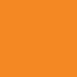 007 NEON ORANGE